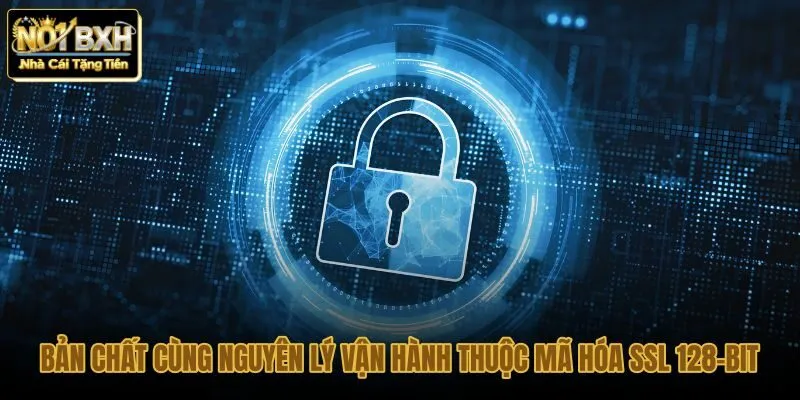 ban-chat-cung-nguyen-ly-van-hanh-thuoc-ma-hoa-ssl-128-bit ban-chat-cung-nguyen-ly-van-hanh-thuoc-ma-hoa-ssl-128-bit