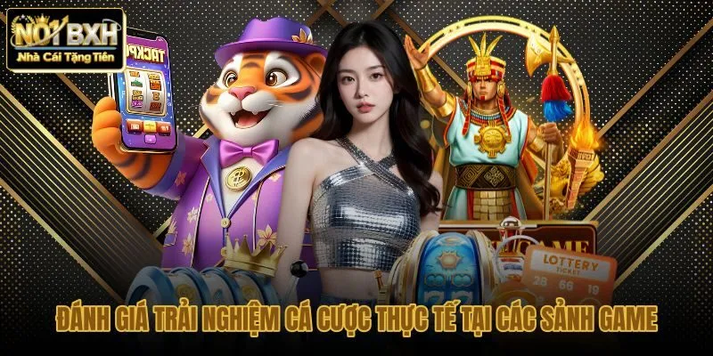 danh-gia-trai-nghiem-ca-cuoc-thuc-te-tai-cac-sanh-game danh-gia-trai-nghiem-ca-cuoc-thuc-te-tai-cac-sanh-game