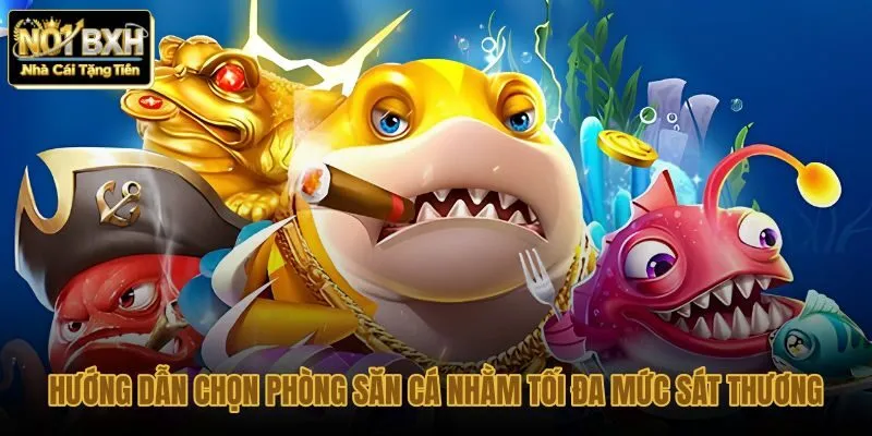 huong-dan-chon-phong-san-ca-nham-toi-da-muc-sat-thuong huong-dan-chon-phong-san-ca-nham-toi-da-muc-sat-thuong